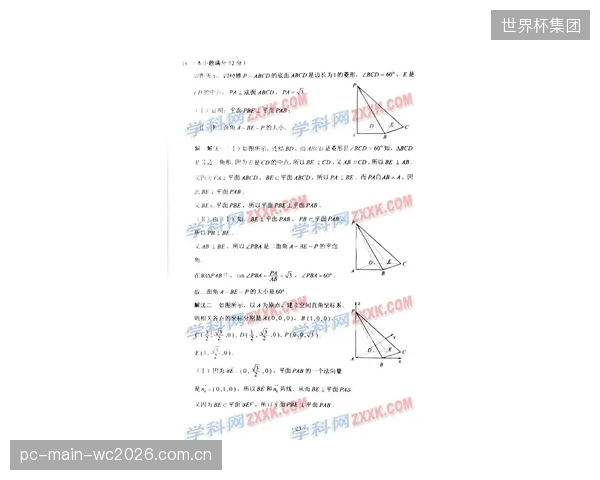 面对复杂的C扫描图像，缺乏统一的行业标准是否导致了对“孔隙率”的过度解读或忽视？